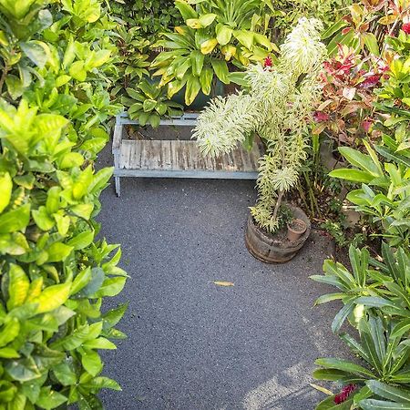 Nalu Kai Lodge Paia Hotel Экстерьер фото