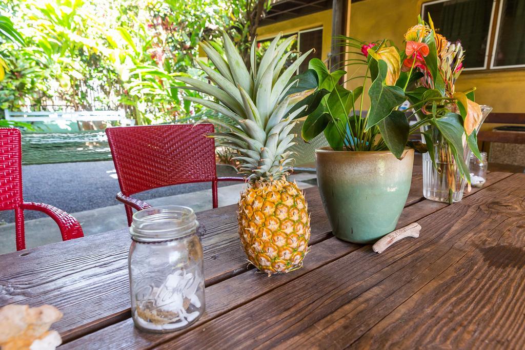 Nalu Kai Lodge Paia Hotel Экстерьер фото
