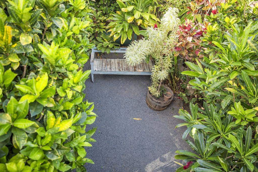 Nalu Kai Lodge Paia Hotel Экстерьер фото